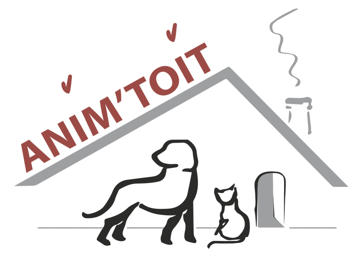 Anim'toit, refuge aux animaux abandonnés